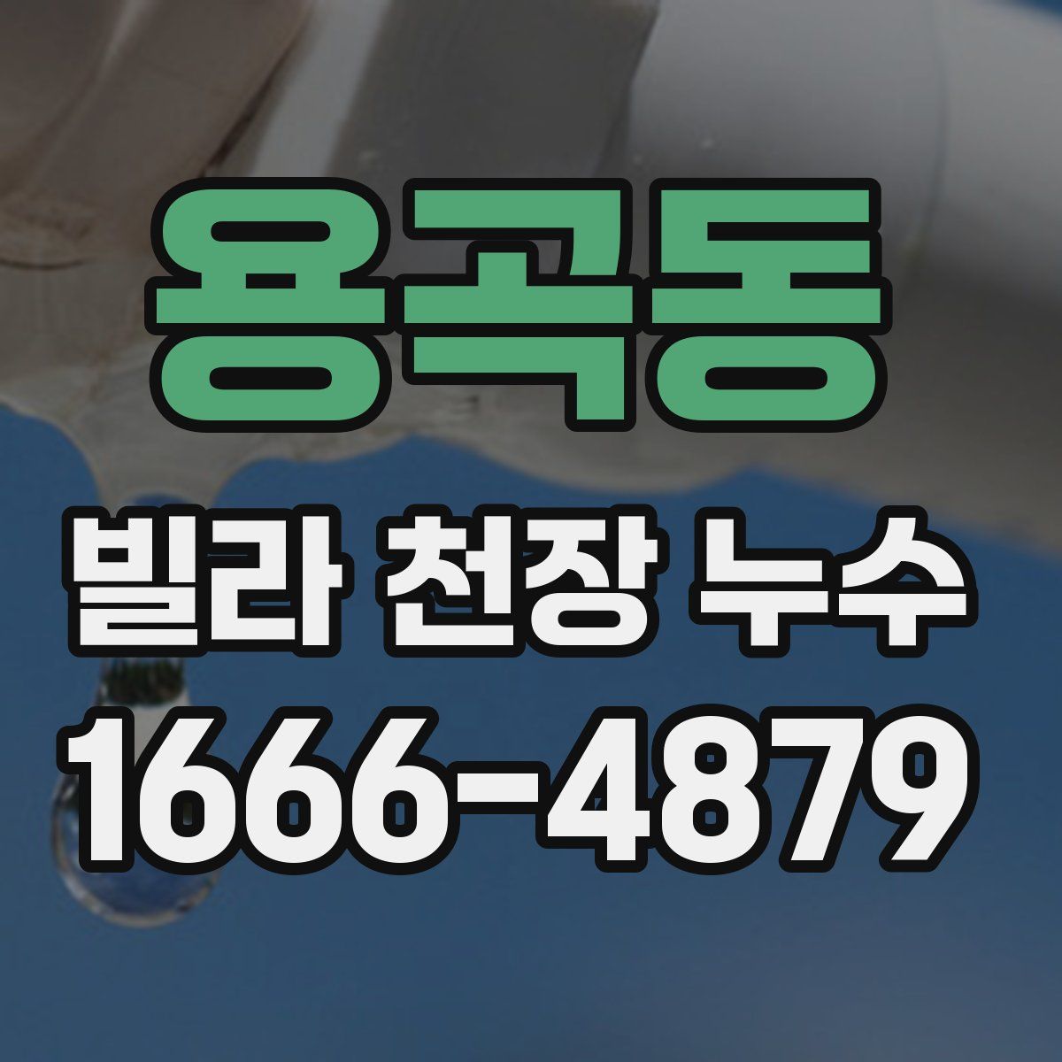 용곡동 빌라 천장 누수