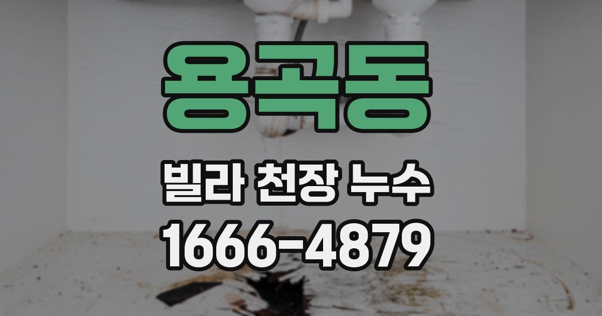 용곡동 빌라 천장 누수