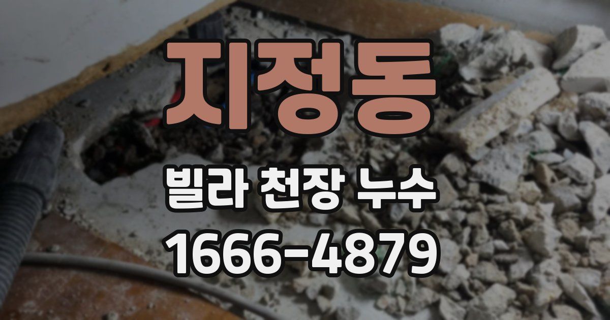 지정동 빌라 천장 누수