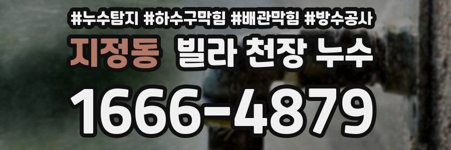 지정동 빌라 천장 누수