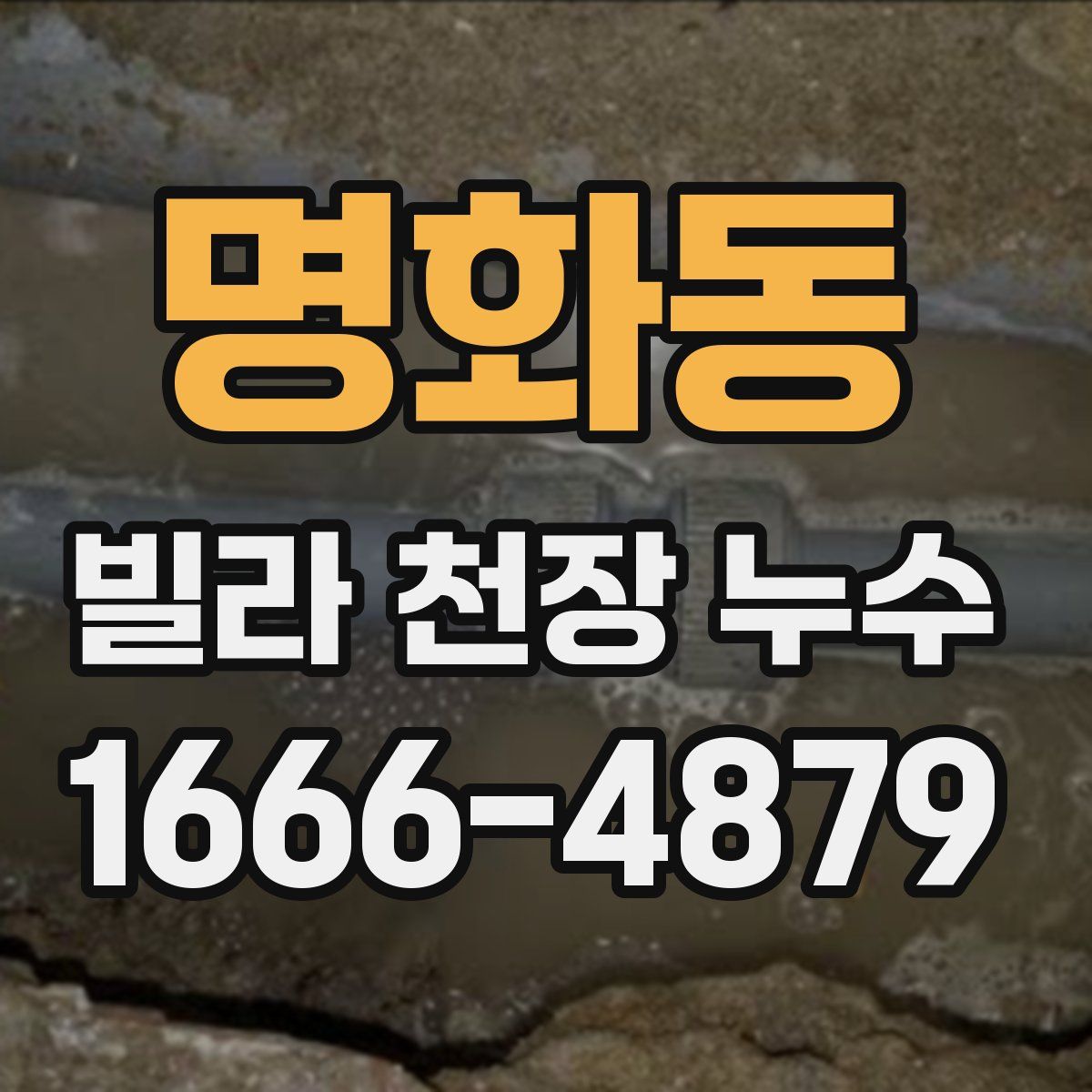 명화동 빌라 천장 누수