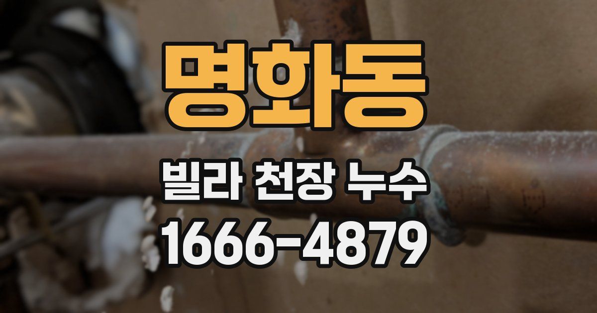 명화동 빌라 천장 누수
