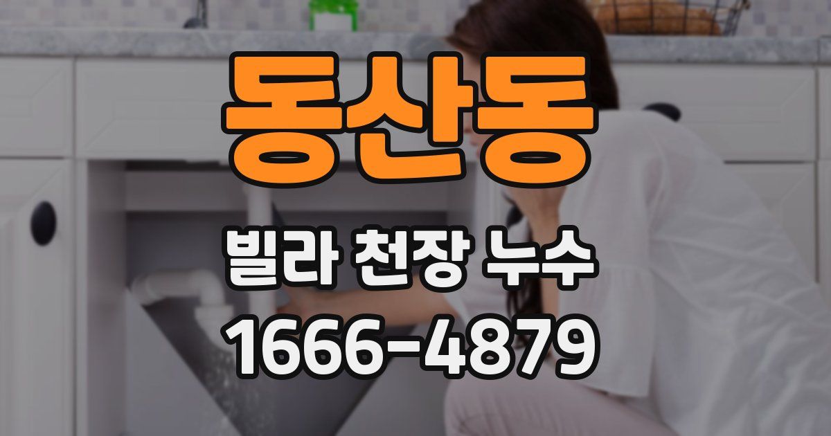 동산동 빌라 천장 누수