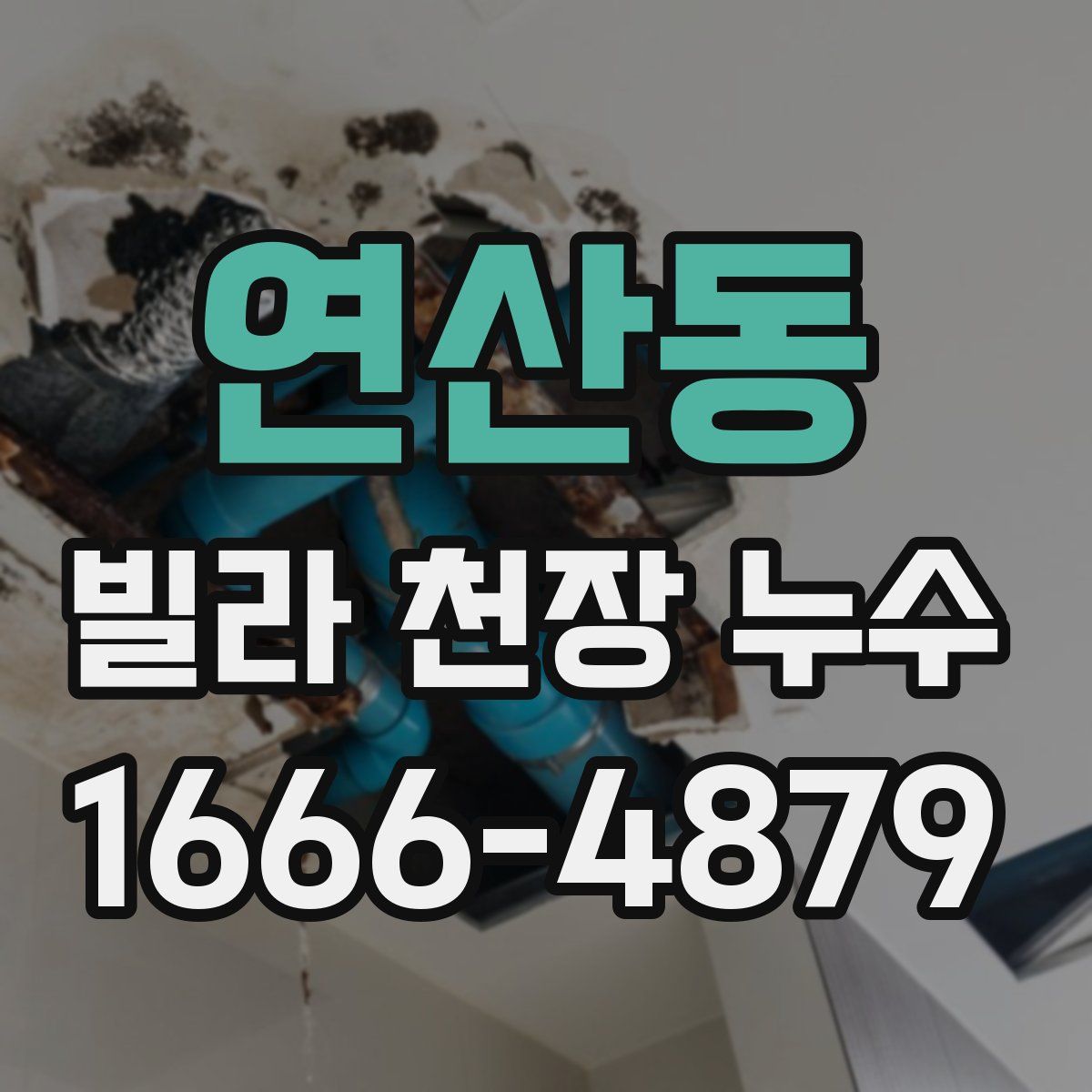 연산동 빌라 천장 누수