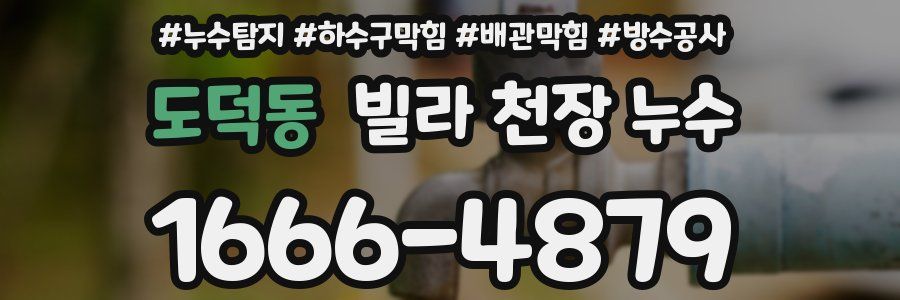 도덕동 빌라 천장 누수