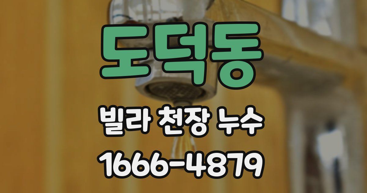 도덕동 빌라 천장 누수