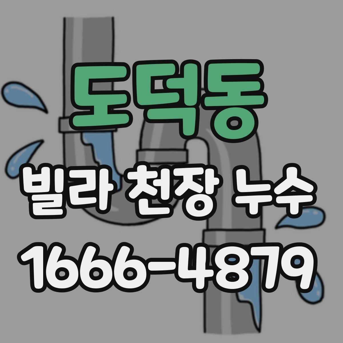 도덕동 빌라 천장 누수