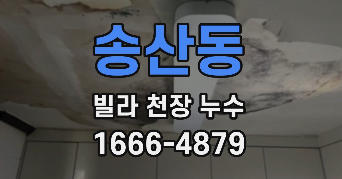 송산동 빌라 천장 누수