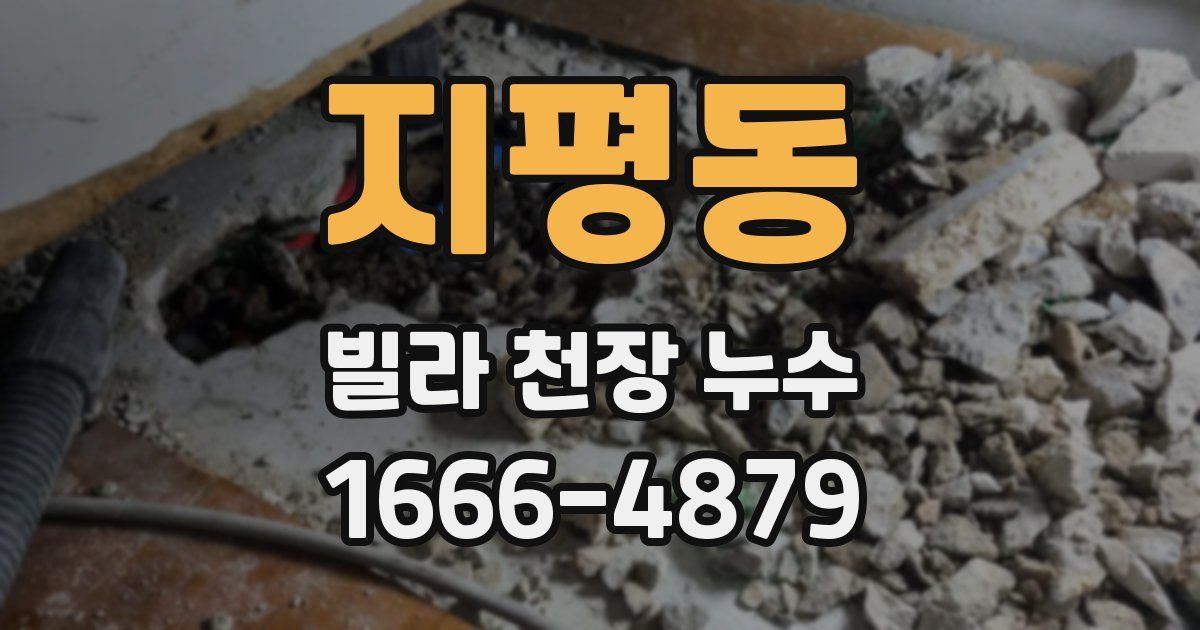 지평동 빌라 천장 누수