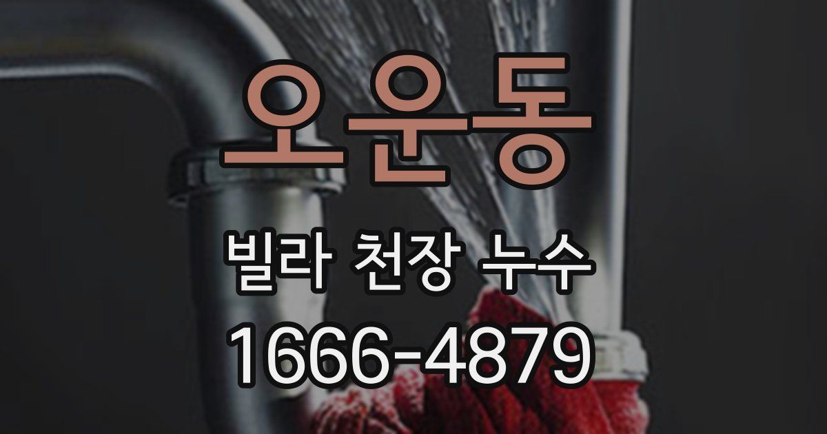 오운동 빌라 천장 누수