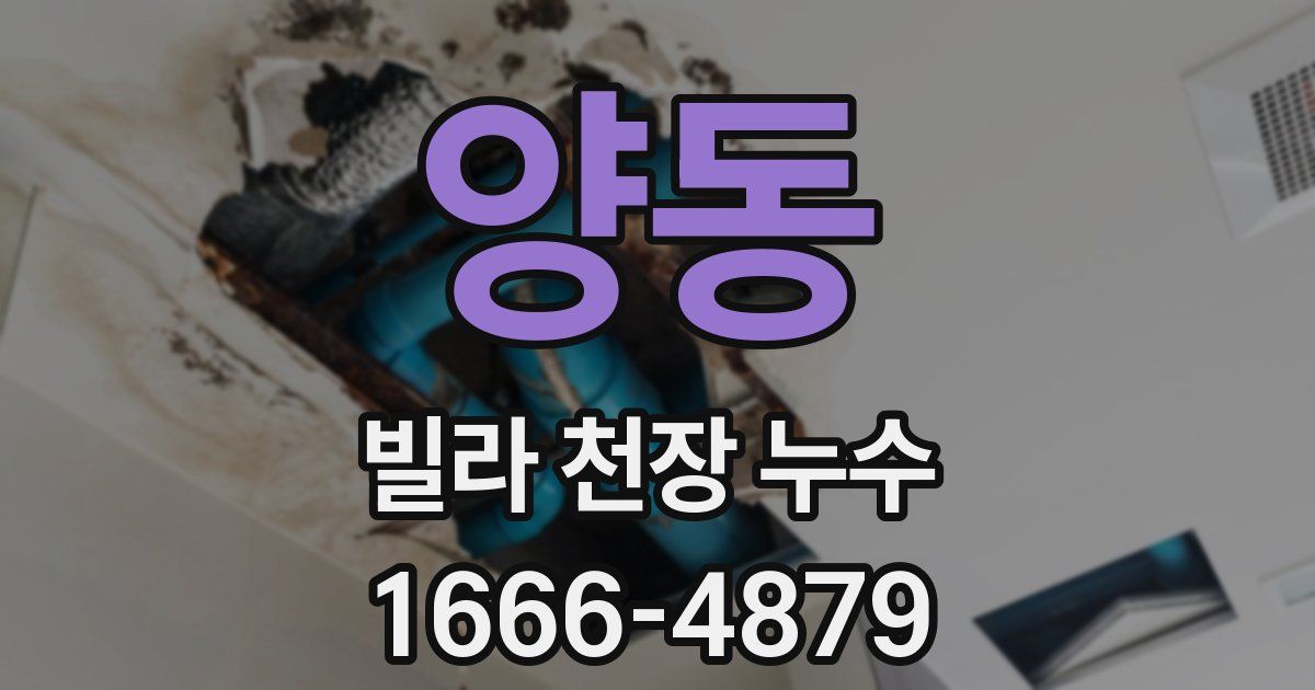 양동 빌라 천장 누수