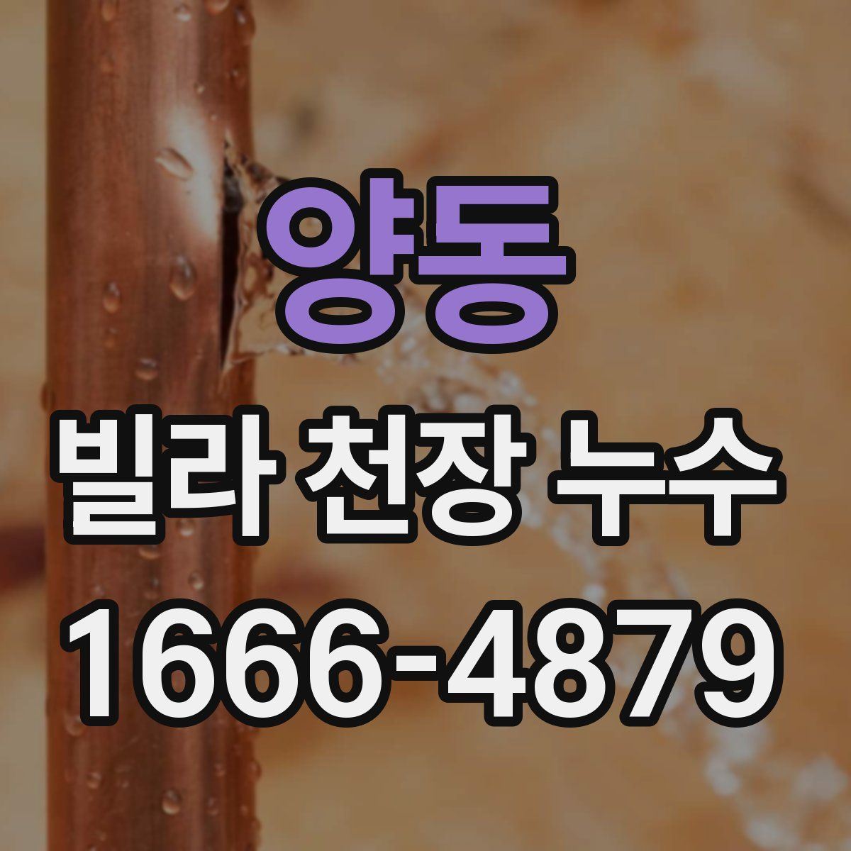 양동 빌라 천장 누수