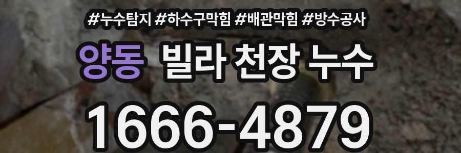 양동 빌라 천장 누수