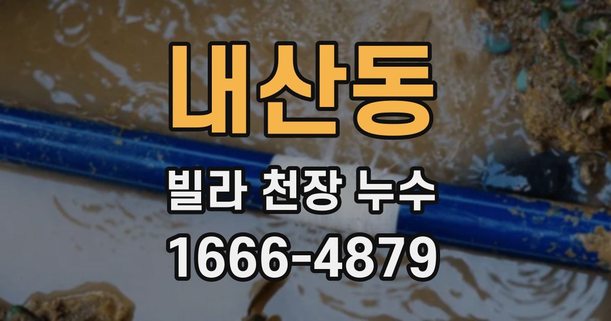 내산동 빌라 천장 누수