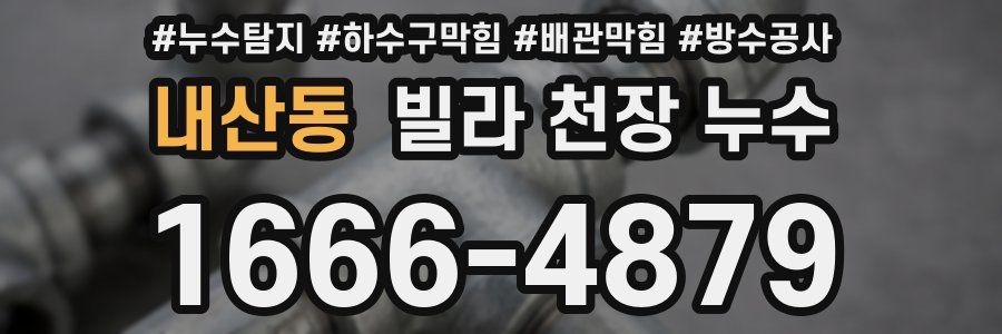 내산동 빌라 천장 누수