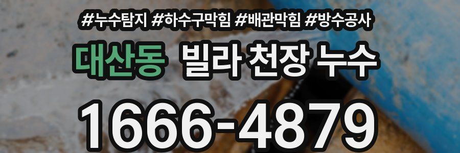 대산동 빌라 천장 누수