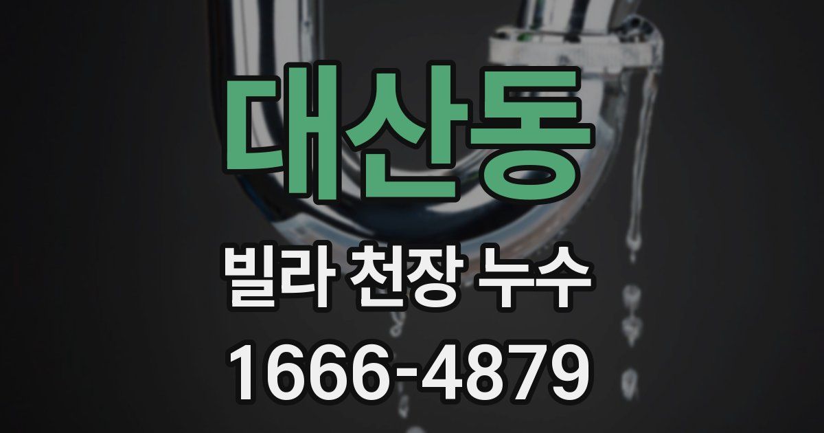대산동 빌라 천장 누수