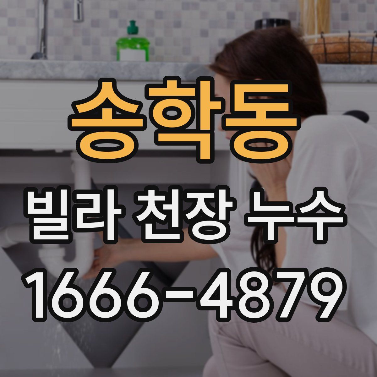 송학동 빌라 천장 누수
