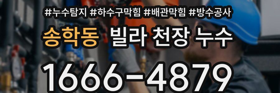 송학동 빌라 천장 누수
