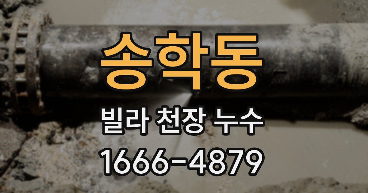 송학동 빌라 천장 누수