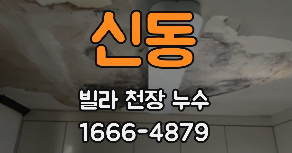신동 빌라 천장 누수