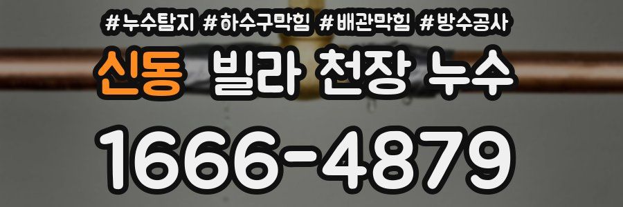 신동 빌라 천장 누수