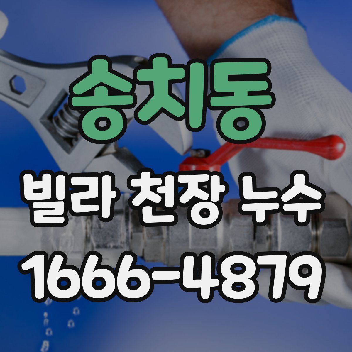 송치동 빌라 천장 누수