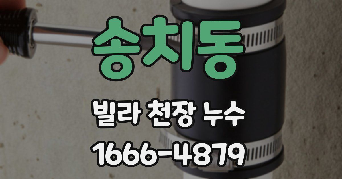송치동 빌라 천장 누수