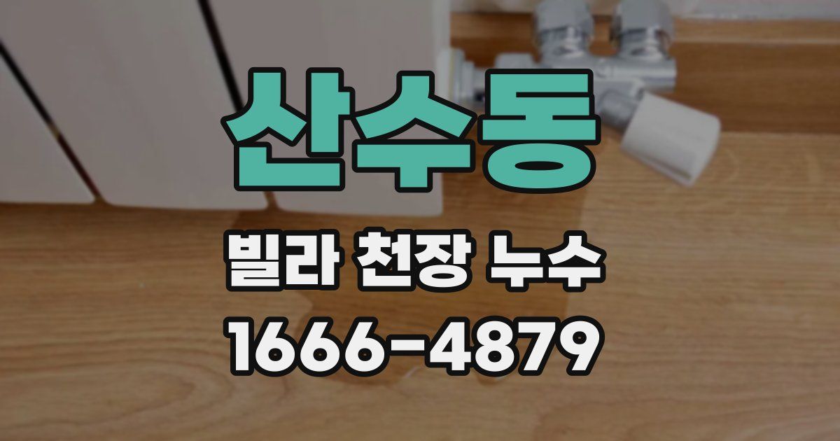 산수동 빌라 천장 누수