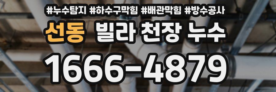 선동 빌라 천장 누수
