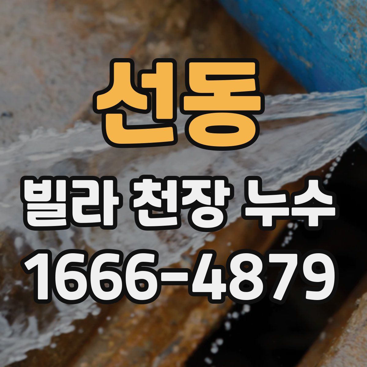 선동 빌라 천장 누수