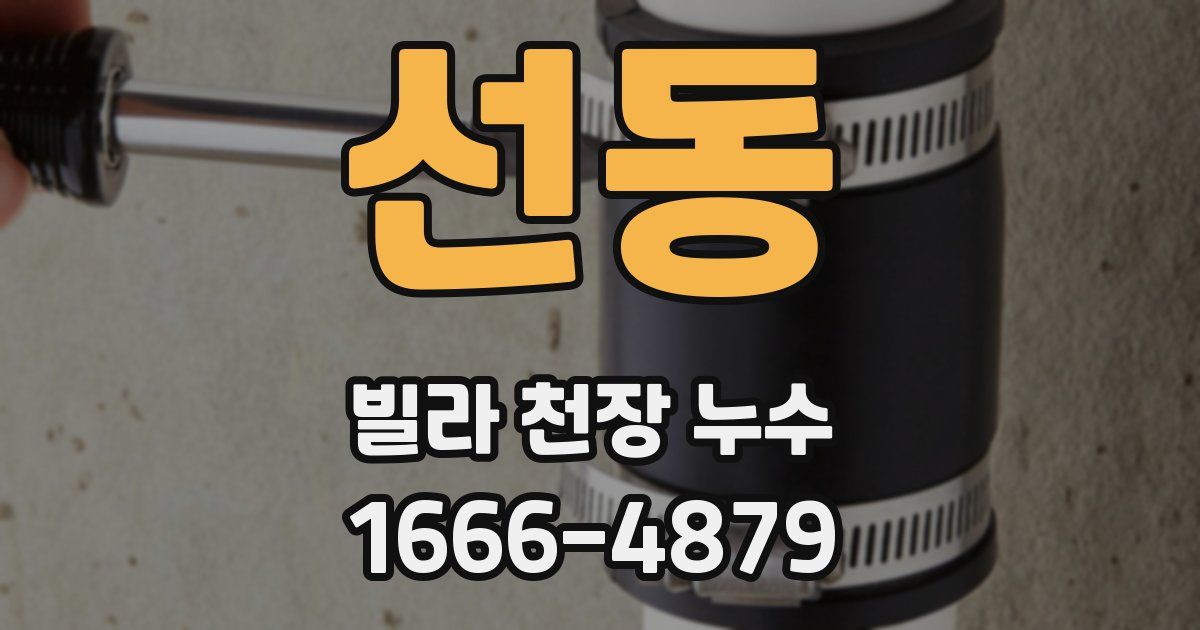 선동 빌라 천장 누수