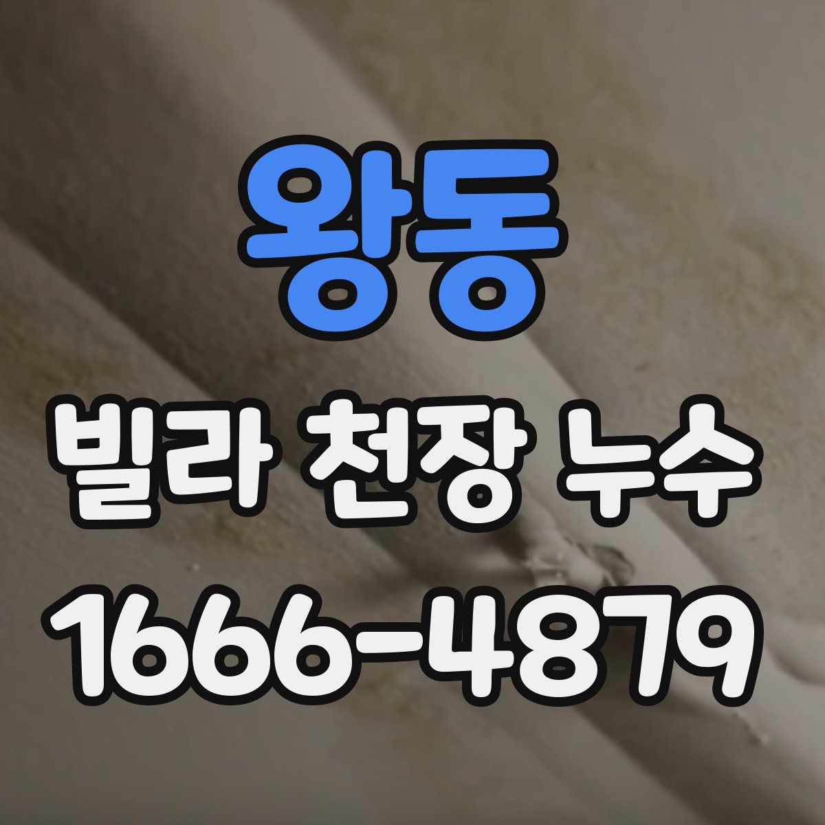 왕동 빌라 천장 누수