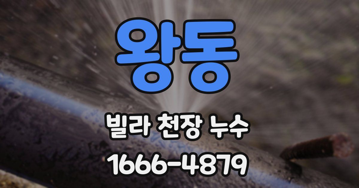 왕동 빌라 천장 누수