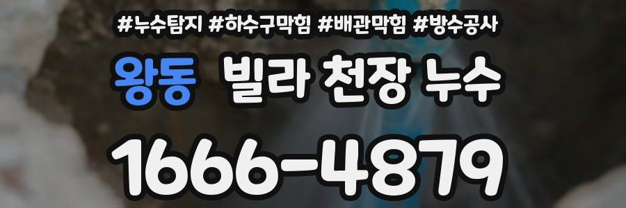 왕동 빌라 천장 누수