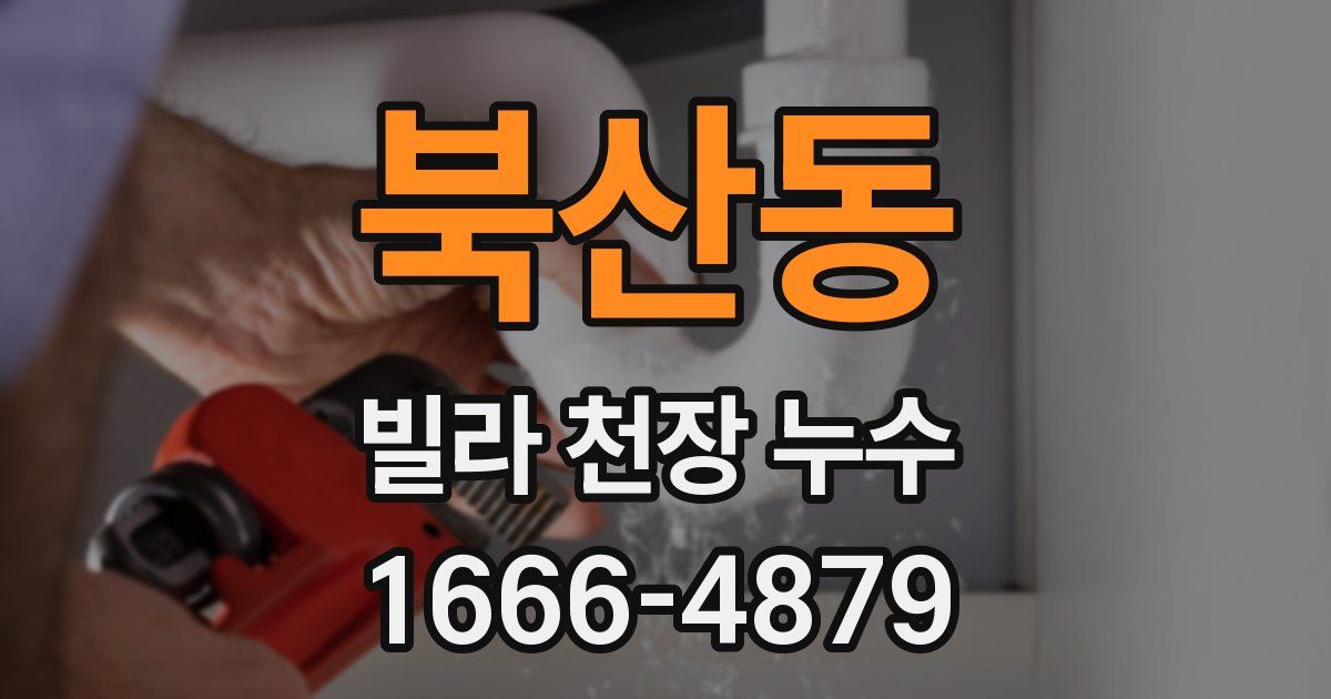 북산동 빌라 천장 누수
