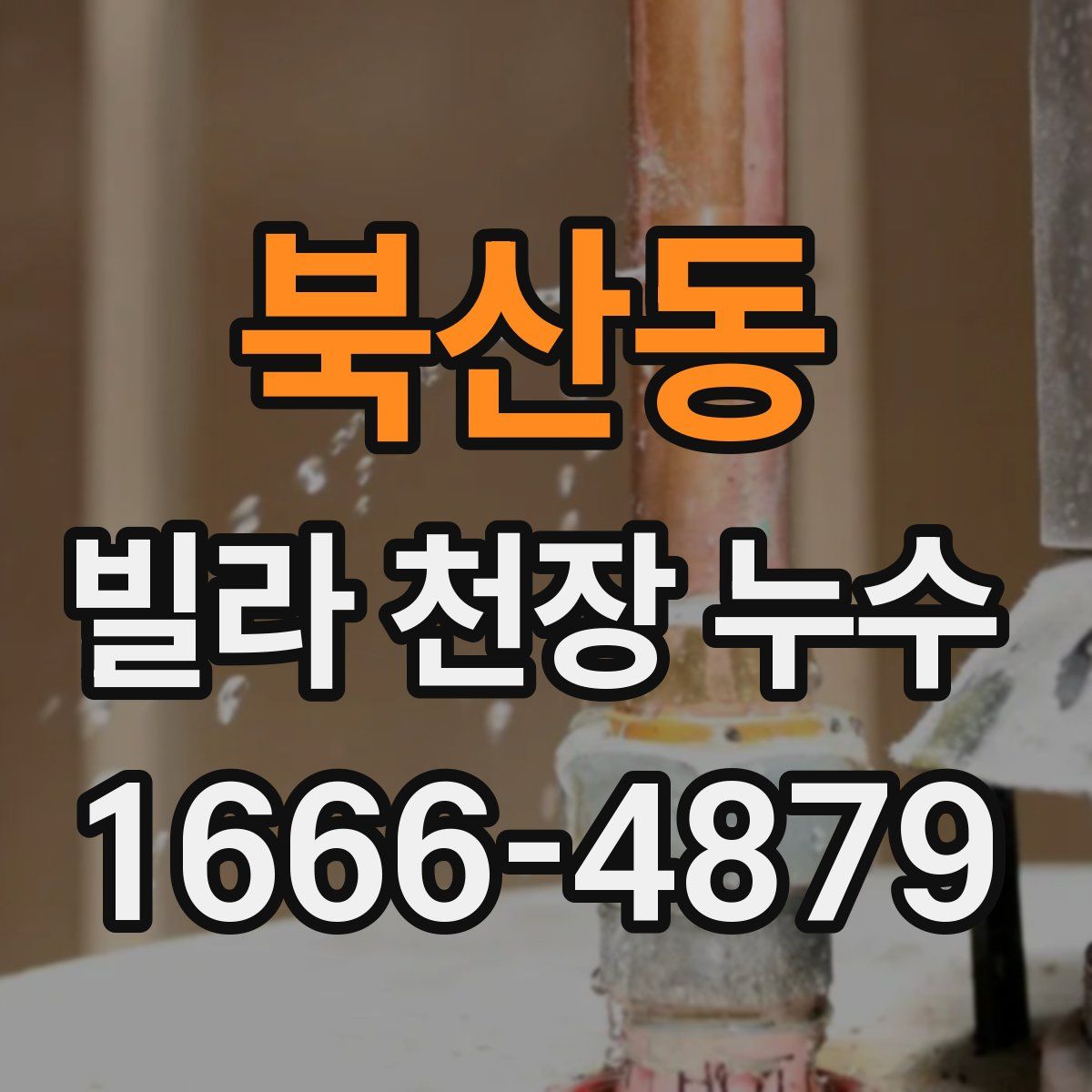북산동 빌라 천장 누수