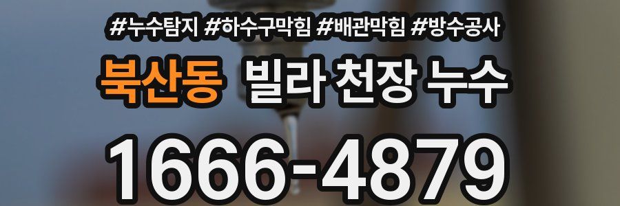 북산동 빌라 천장 누수