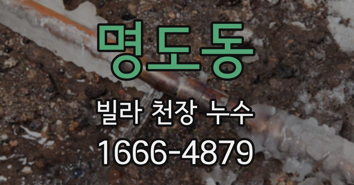 명도동 빌라 천장 누수