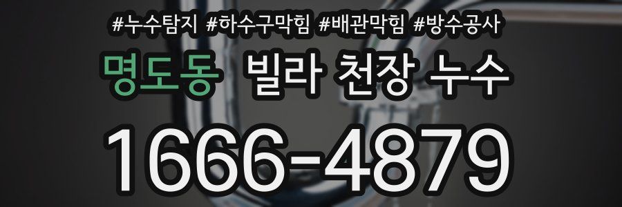 명도동 빌라 천장 누수