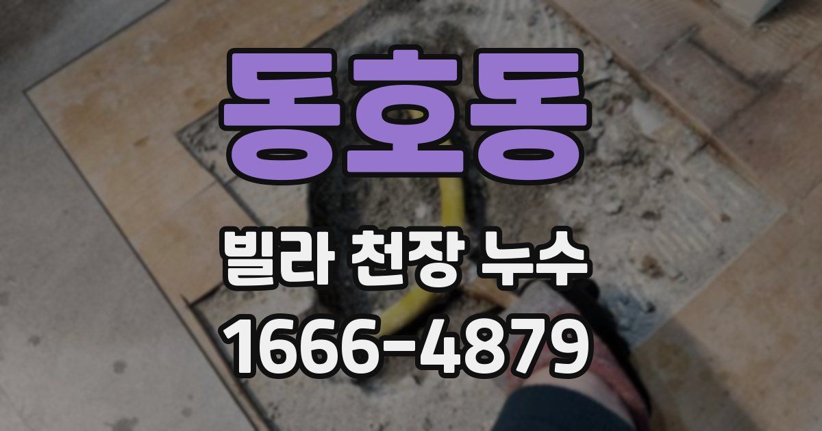 동호동 빌라 천장 누수