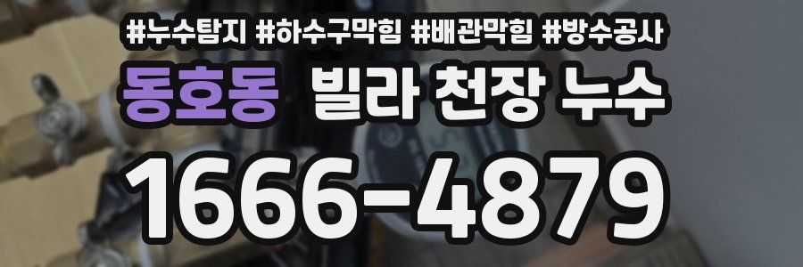 동호동 빌라 천장 누수
