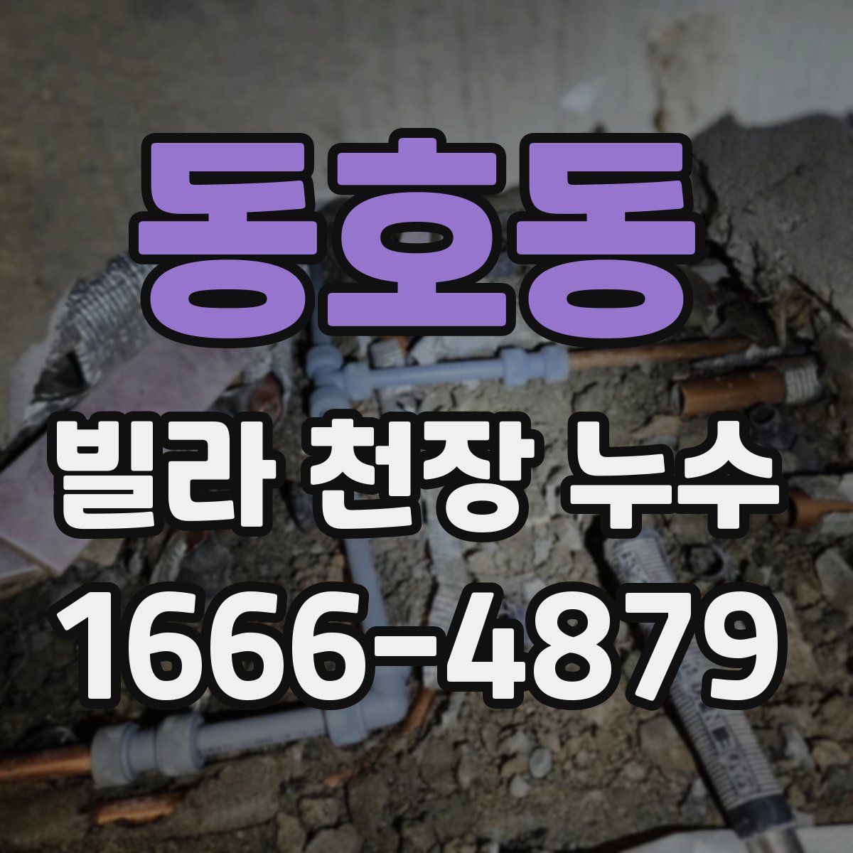 동호동 빌라 천장 누수