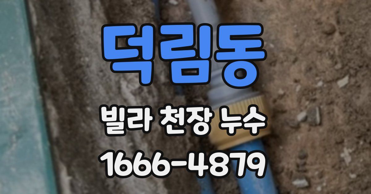 덕림동 빌라 천장 누수