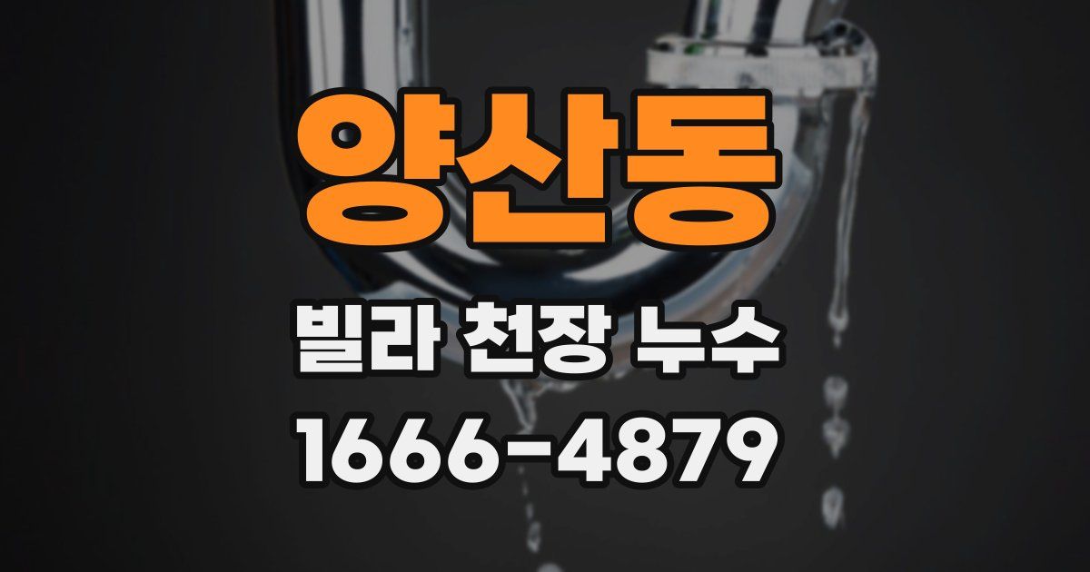 양산동 빌라 천장 누수