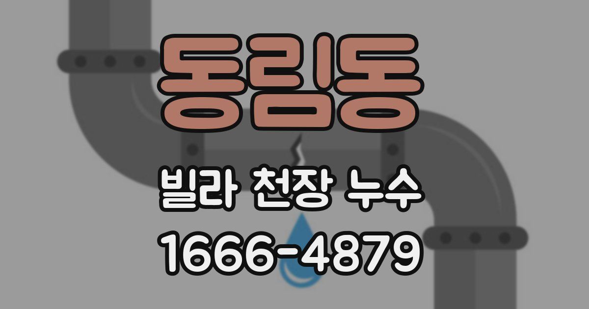 동림동 빌라 천장 누수
