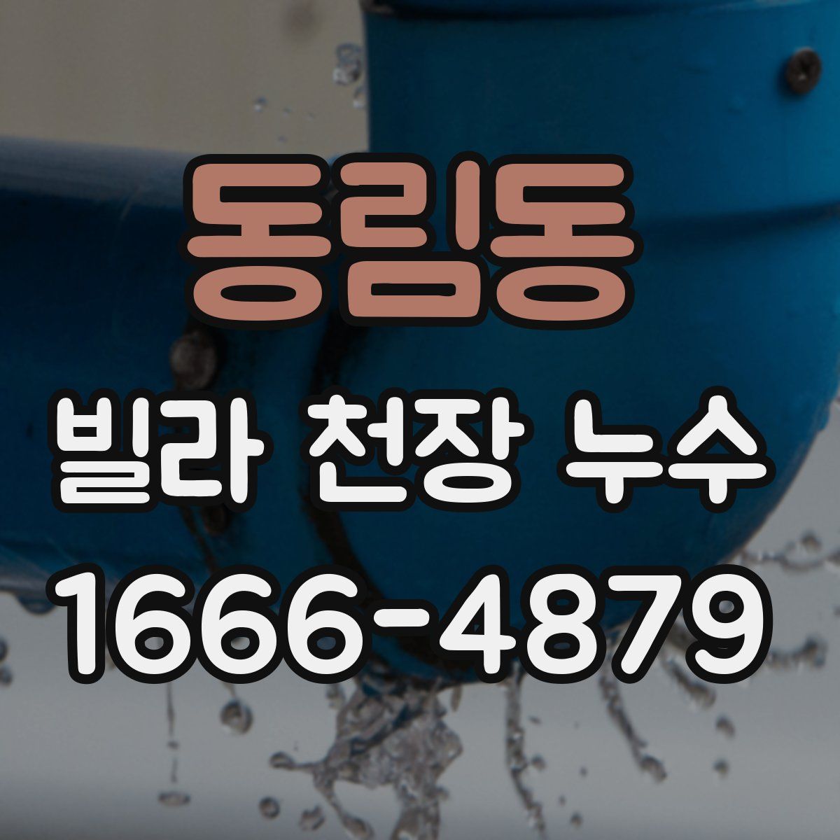 동림동 빌라 천장 누수
