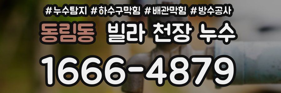 동림동 빌라 천장 누수