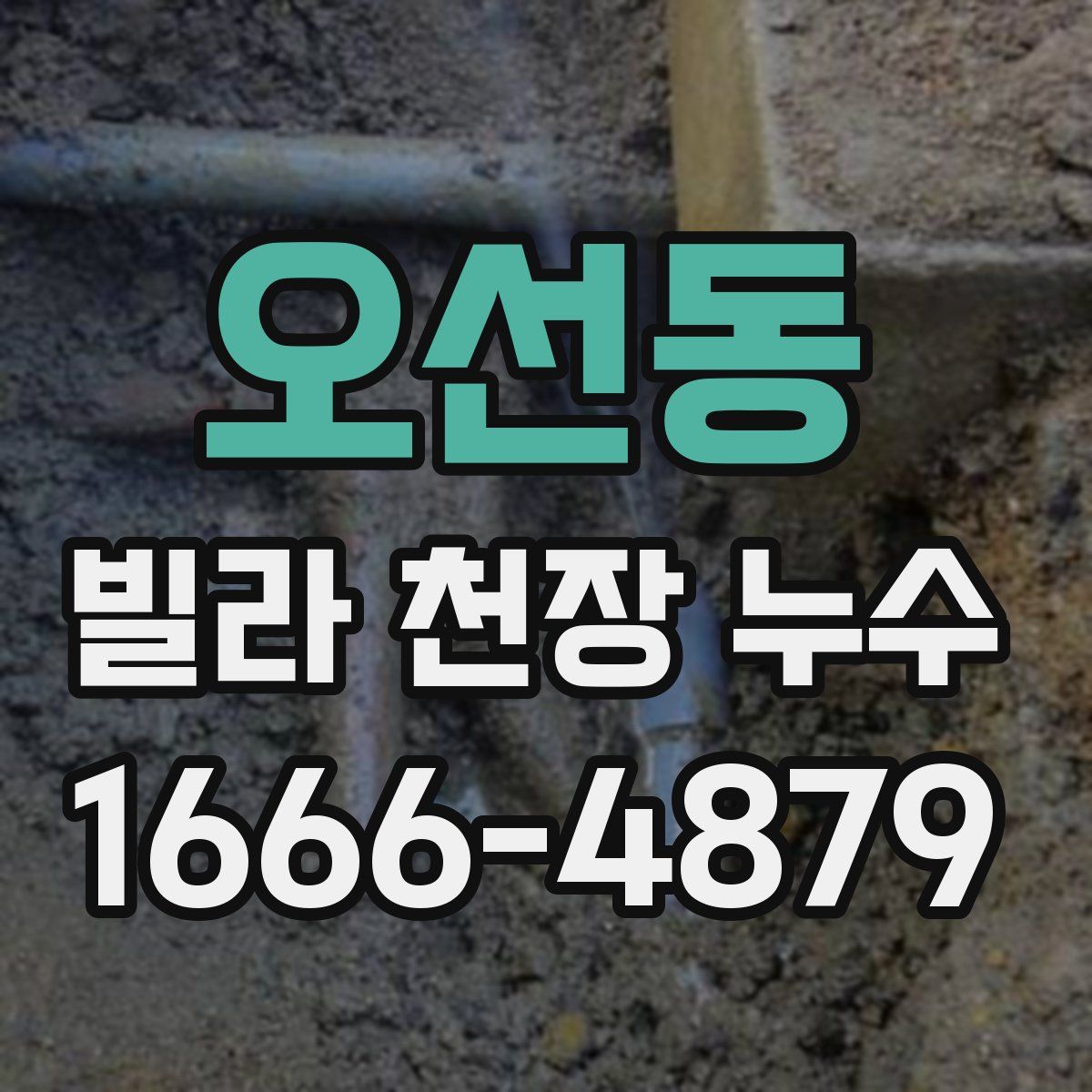 오선동 빌라 천장 누수