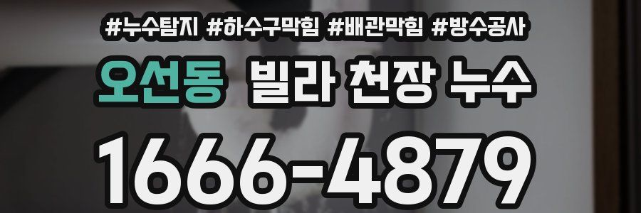 오선동 빌라 천장 누수